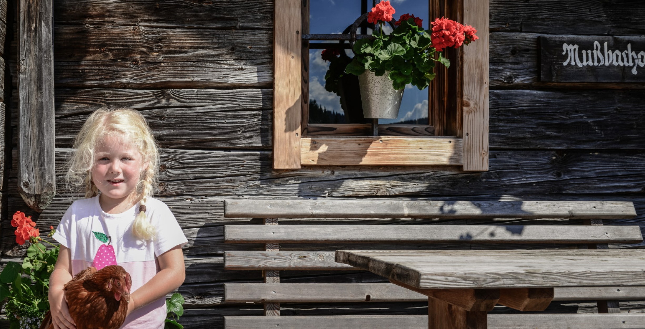 Kleines Mädchen hält auf der Alm ein Huhn © Hochkönig Tourismus GmbH / Schartner