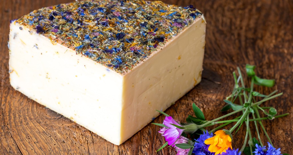 Schnittkäse mit Kräutermantel © Shutterstock.com / Bernd Juergens