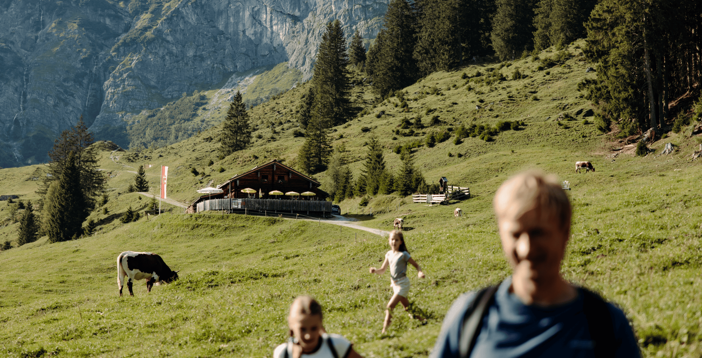Familie beim Wandern auf den Alem des hochköniggebietes mit einer grasenden Kuh im Hintergrund