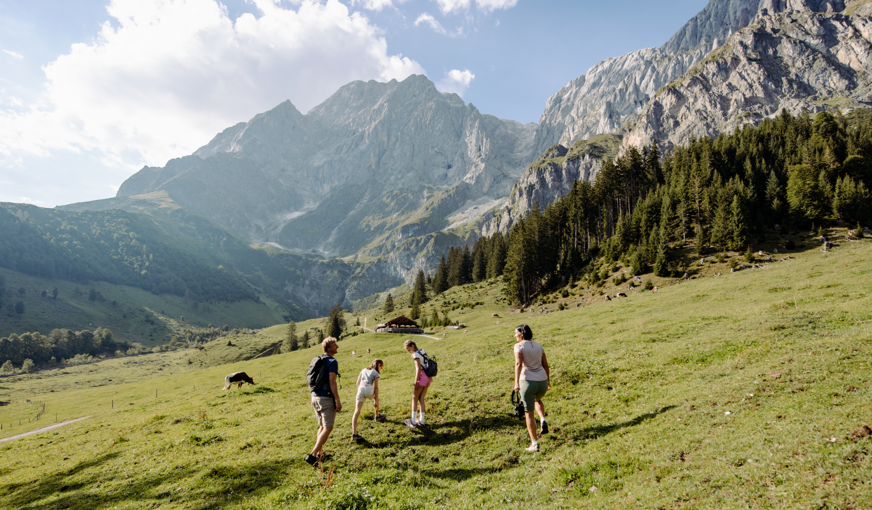 Wandern in den Almen von Mühlbach