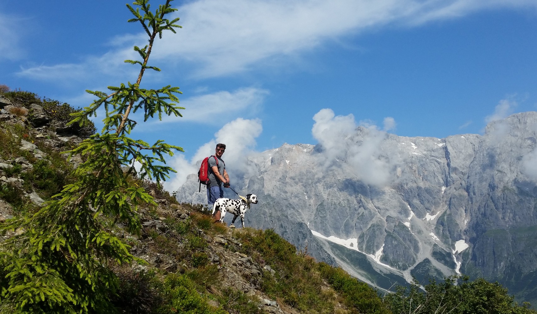 Sommerurlaub mit Hund in den Bergen von Salzburg