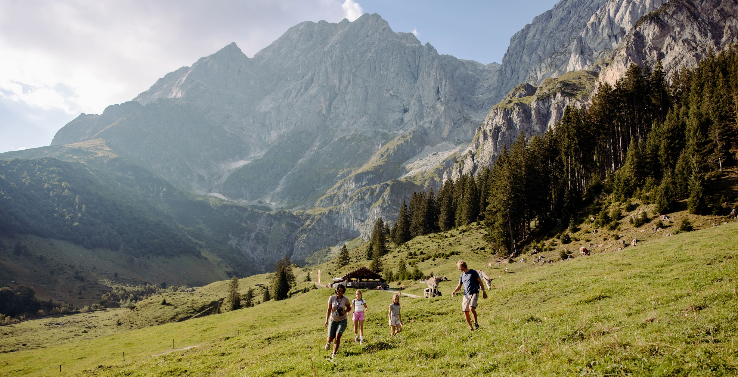 Wanderung im Almgebiet
