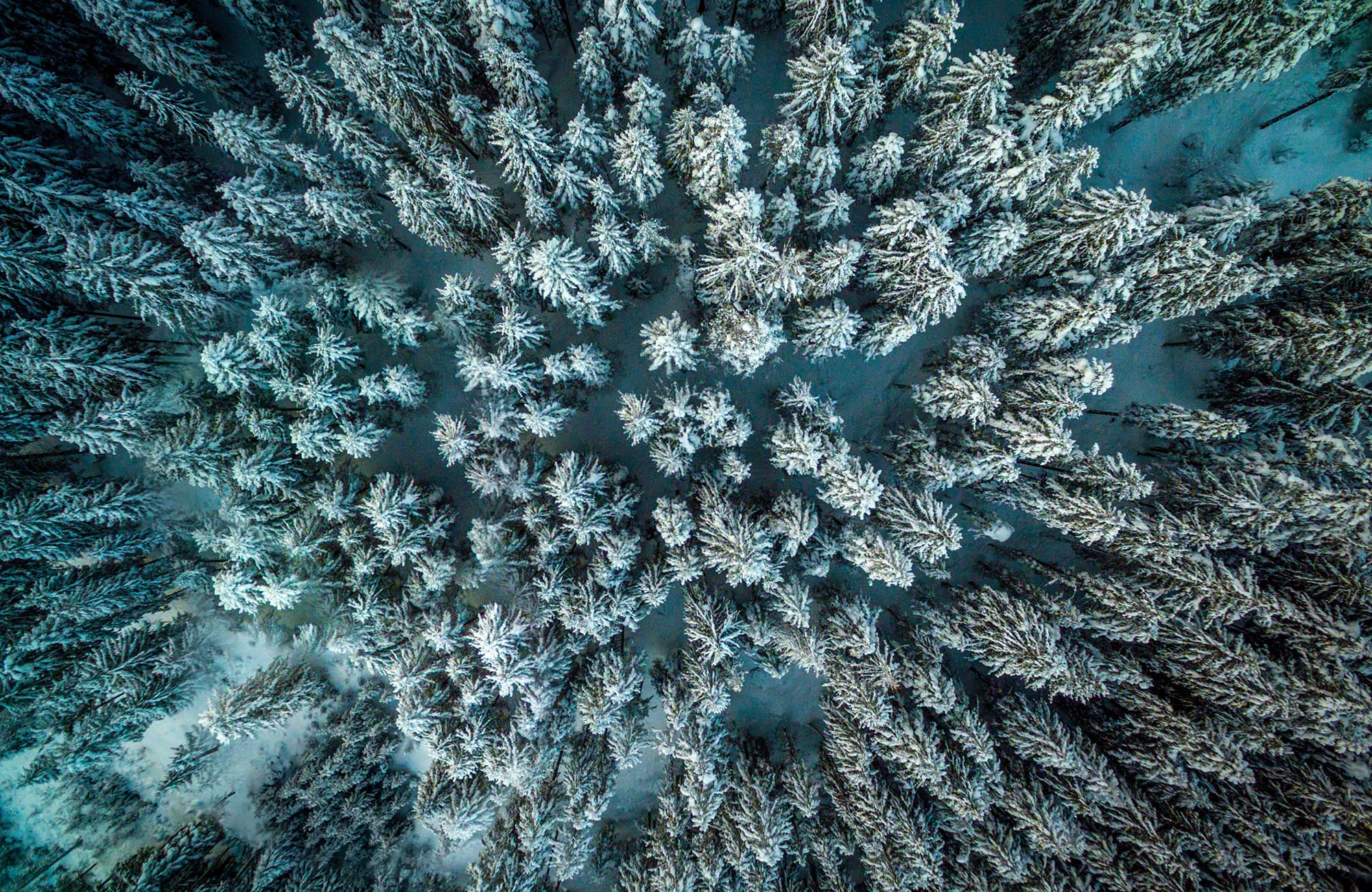 Winterlandschaft