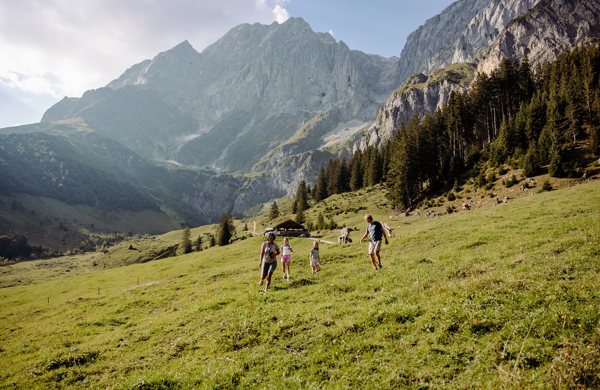 Sommersonne mit Ausblick in die Natur