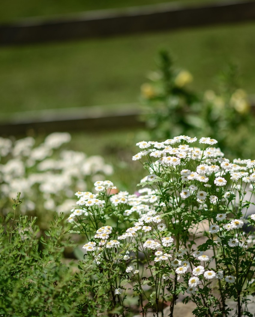 Regionalität und die Natur schätzen