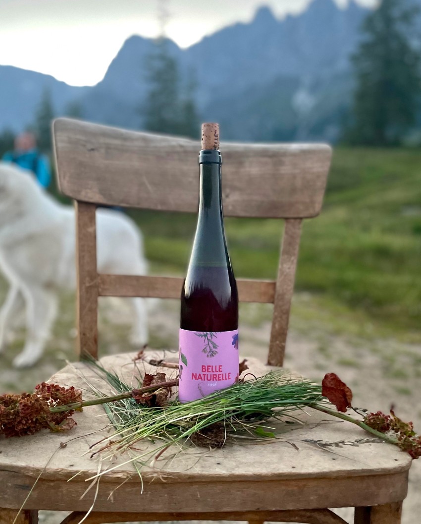 Edle Tropfen Wein aus Österreich