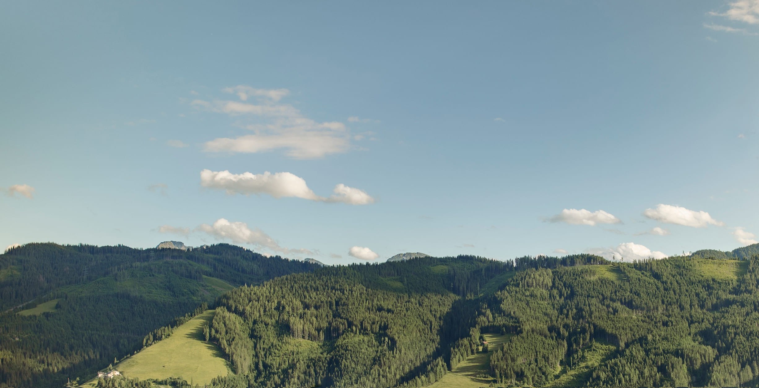 Blick über die grüne Berglandschaft rund um Mühlbach am Hochkönig