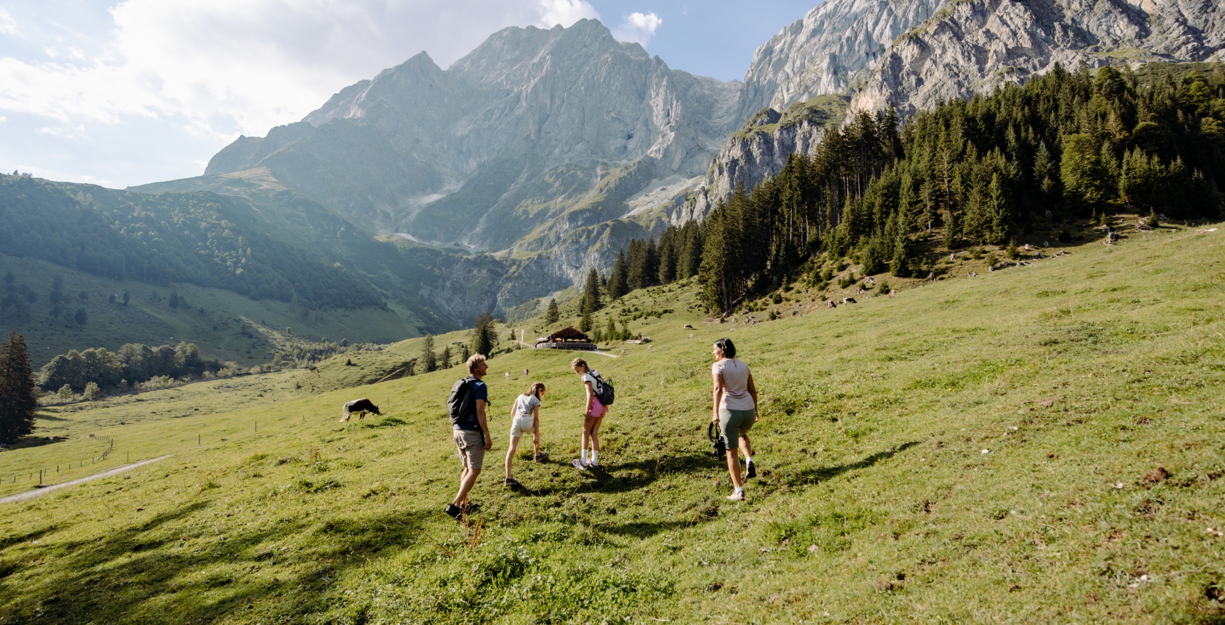 Weitblick über die grüne Berglandschaft rund um Mühlbach am Hochkönig